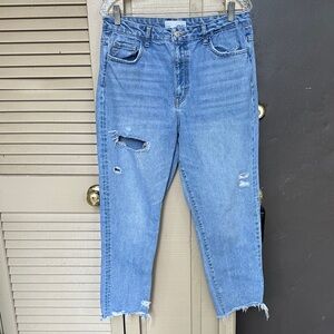 Vervet By Flying Monkey Jeans Size 30